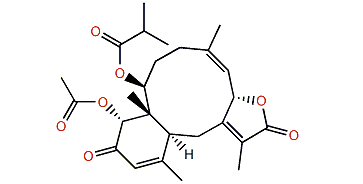 Anthoptilide B